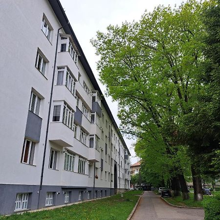 Amda Studio Онешти Экстерьер фото